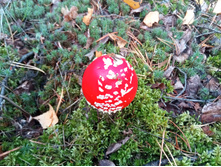 20210918 �� ����� ����� �� ������� 121845.jpg