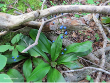 ��������� ������.jpg