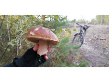 IMG 20210918 122457.jpg