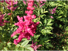 ����� ������ (?)