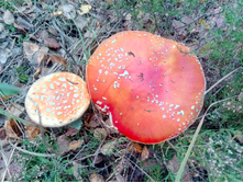 20210918 �� ����� ����� �� ������� 133558.jpg