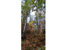 IMG 20210919 122538.jpg