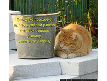 �������� �������, �� ��� � ������ �����, �������� ������� ������ ��������� � �����