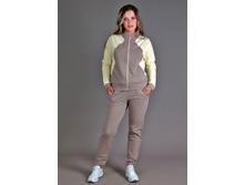 ������ ���