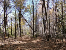 IMG 20210919 132319.jpg