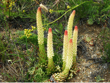 ������������� 2.jpg