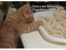 ���� � ��� ������� ... � ���� �����������!