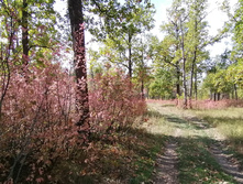 IMG 20210919 114236.jpg