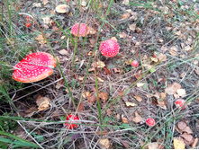 20210918 �� ����� ����� �� ������� 133312.jpg