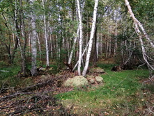 IMG 20210919 122036.jpg