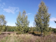 IMG 20210919 134235.jpg