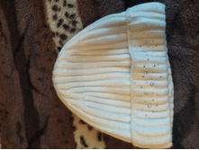 IMG 20210907 124429.jpg