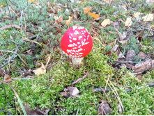 20210918 �� ����� ����� �� ������� 121858.jpg