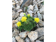 ���������� ���������������.jpg