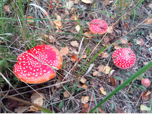 20210918 �� ����� ����� �� ������� 133240.jpg