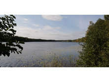 IMG 20210919 115631.jpg