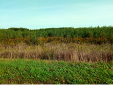 20210911 �200 ��������� 094026.jpg