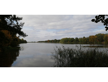 IMG 20210919 110627.jpg