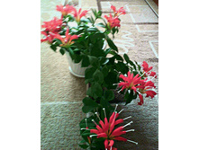 ���������� �/�.jpg - 150 ���.