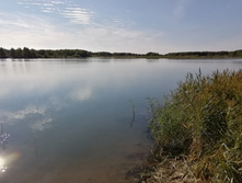 IMG 20210919 144644.jpg