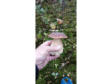 IMG 20210918 111600.jpg