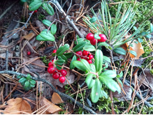 20210918 �� ����� ����� �� ������� 123031.jpg