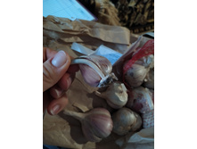 IMG 20210921 141203.jpg