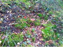 20210918 �� ����� ����� �� ������� 105725.jpg