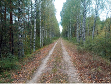 20210918 �� ����� ����� �� ������� 142230.jpg