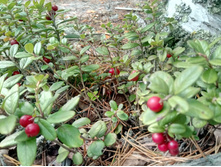 20210918 �� ����� ����� �� ������� 123337.jpg