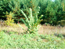 20210911 �200 ��������� 094610.jpg