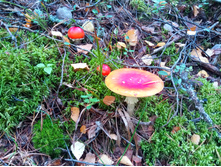 20210918 �� ����� ����� �� ������� 105752.jpg