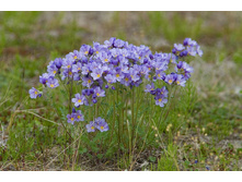 ������ ��������1.jpg