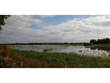 IMG 20210919 104544.jpg