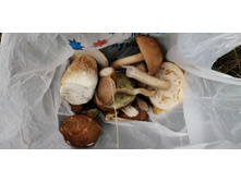 IMG 20210918 114147.jpg