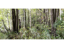 IMG 20210919 123329.jpg