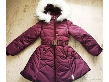������ ������ Orby 116 = 2500�
