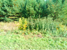 20210911 �200 ��������� 094609.jpg