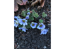 �������� �������.jpg