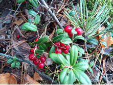 20210918 �� ����� ����� �� ������� 123035.jpg