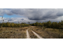 IMG 20210918 104233.jpg