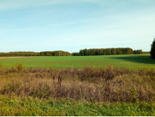 20210911 �200 ��������� 093929.jpg