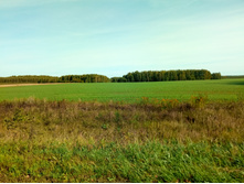 20210911 �200 ��������� 093930.jpg