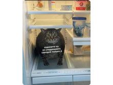 '�������� �� ������� �� ����������� ������ �