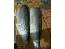 IMG 20210908 182926.jpg