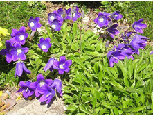 ����������� ������.jpg