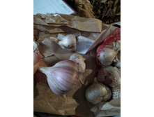 IMG 20210921 141159.jpg