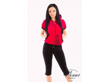 ������ 3/1304