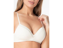 BFV6109 �����������.jpg