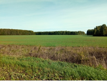 20210911 �200 ��������� 093752.jpg